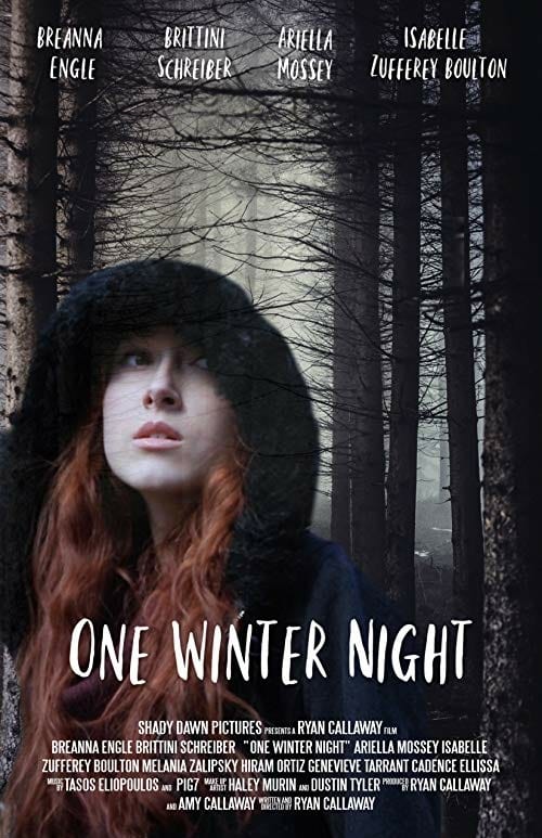 دانلود فیلم 2019 One Winter Night