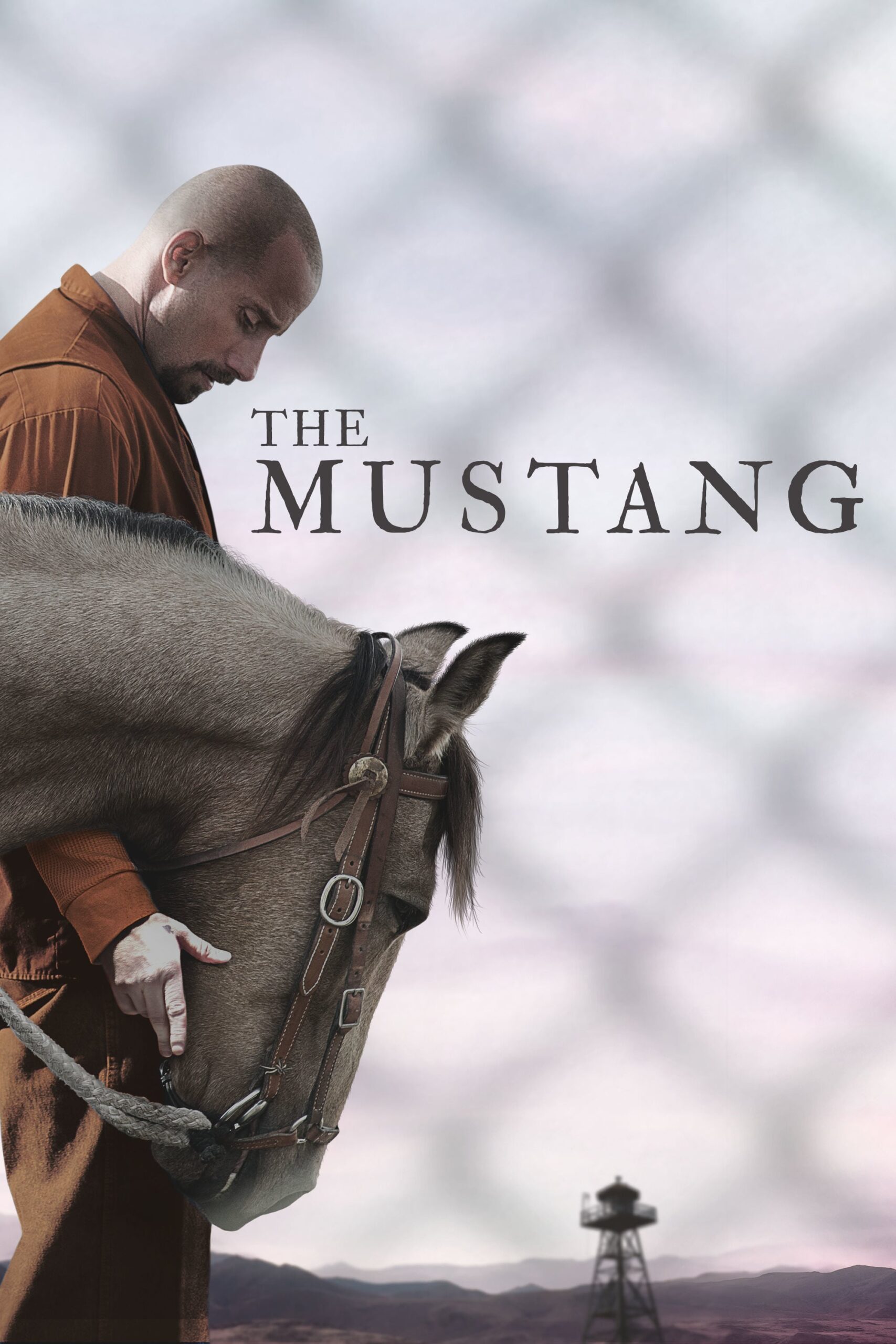 دانلود فیلم The Mustang 2019