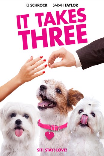 دانلود فیلم It Takes Three 2019