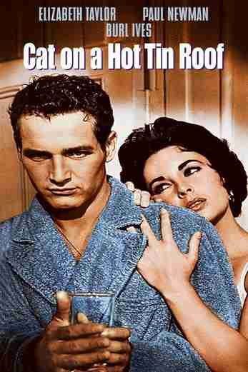 دانلود فیلم Cat on a Hot Tin Roof 1958 دوبله فارسی