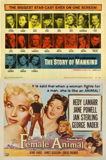 دانلود فیلم The Female Animal 1958