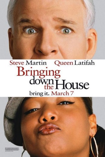 دانلود فیلم Bringing Down the House 2003