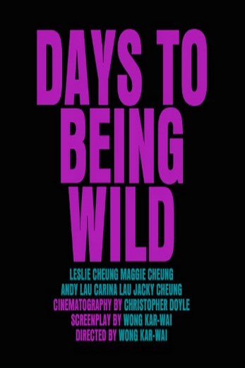 دانلود فیلم Days of Being Wild 1990