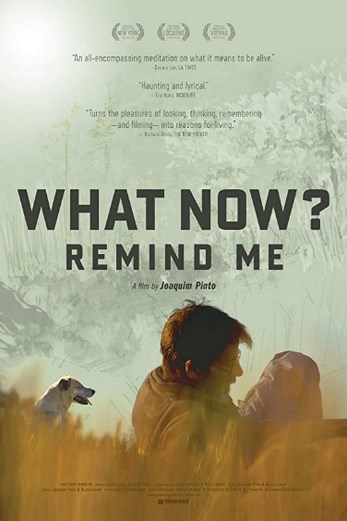 دانلود فیلم What Now Remind Me 2013