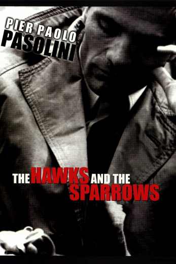 دانلود فیلم The Hawks and the Sparrows 1966