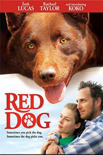 دانلود فیلم Red Dog 2011