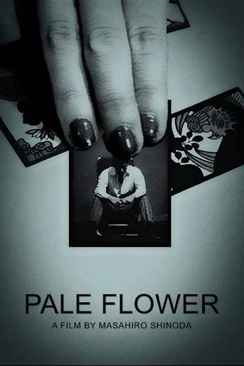 دانلود فیلم Pale Flower 1964