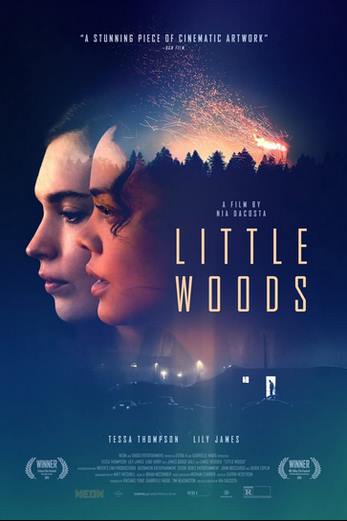 دانلود فیلم Little Woods 2018