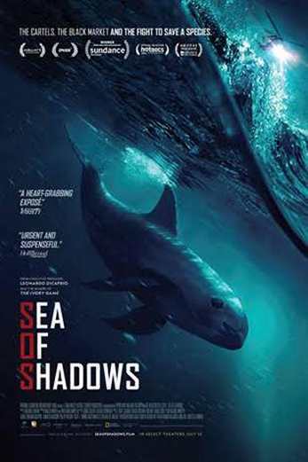 دانلود فیلم Sea of Shadows 2019 دوبله فارسی